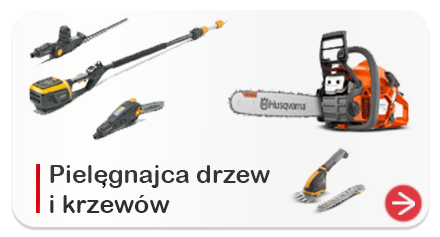Pielęgnacja drzew i krzewów