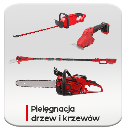 Pielęgnacja drzew i krzewów